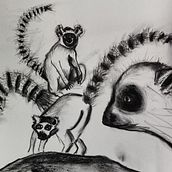 My project for course: Animal Illustration with Charcoal and Ink. Artes plásticas, Desenho, Ilustração com tinta e Ilustração naturalista projeto de Barbara Manning - 06.09.2023