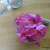 Mon projet du cours : Création d'aquarelles liquides à base de pigments végétaux. Arts, Crafts, Fine Arts, Painting, Watercolor Painting, DIY, and Color Theor project by marylenefaucher - 08.29.2023