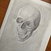 Mi proyecto del curso: Dibujo anatómico de la cabeza humana. Fine Arts, Pencil Drawing, Drawing, Portrait Drawing, Realistic Drawing, and Figure Drawing project by Felipe Salorte Mella - 09.06.2023