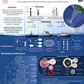 Poster de mi tesis. Un progetto di Design e Infografica di ivonne_beatriz_rr97 - 08.09.2023