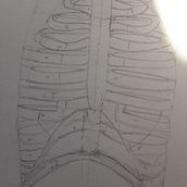 Figure Drawing For Beginners by Cliona Ryan. Un proyecto de Ilustración tradicional de Cliona Ryan - 08.09.2023