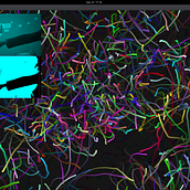 My project for course: Creative Coding: Immersive Art with openFrameworks. Un projet de Motion design, Programmation, Multimédia, Webdesign , et Conception de produits numériques de Azanul Haque - 10.09.2023