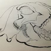 Mein Abschlussprojekt für den Kurs: Tägliches Sketching für kreative Inspiration. Un projet de Illustration traditionnelle, Esquisse , Créativité, Dessin , et Carnet de croquis de Sofie Schulzke - 10.09.2023