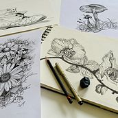 Pen and Ink drawings. Traditional illustration, Floral, Plant Design, Ink Illustration, Sketchbook, Naturalistic Illustration, Artistic Drawing, Realistic Drawing, and Drawing project by dorarts - 09.11.2023