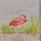 Mi proyecto del curso: Ilustración naturalista de aves con acuarela. Een project van Traditionele illustratie, Realistische tekening y Naturalistische illustratie van Mane - 11.09.2023