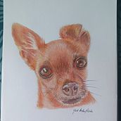 Mi proyecto del curso: Retratos de Mascotas en Lápices de Colores. Traditional illustration, and Naturalistic Illustration project by yudipv83 - 09.12.2023