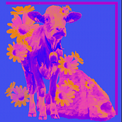 Mi proyecto del curso: Estampado textil con técnicas digitales. Un progetto di Pattern design, Fashion design e Stampa di maridh26 - 11.09.2023