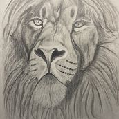 Mi proyecto del curso: Imágenes realistas de vida salvaje con lápiz de grafito. Fine Arts, Pencil Drawing, Drawing, Realistic Drawing, and Naturalistic Illustration project by Elizabeth Posada - 09.13.2023
