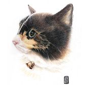 Michi. Traditional illustration, Drawing, Naturalistic Illustration, and Colored Pencil Drawing project by Sofía Soto - 09.13.2023