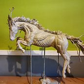Space Horse . % Laura-ann Burgess tarafından hazırlanan He, Ve kel projesi - 09.14.2023