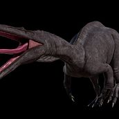  SUCHOMIMUS TENERENSIS . % Javier Valiente Vacas tarafından hazırlanan 3D, 3D Animas, on, 3D Modelleme, 3D Karakter Tasarımı, 3D Tasarım, Ve Arma projesi - 09.14.2023