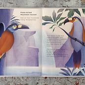 My project for course: Wildlife Illustration for Children's Books. Un progetto di Illustrazione vettoriale, Illustrazione digitale e Illustrazione infantile di Sabrin Deirani - 14.09.2023