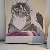 Mijn project van de cursus: Realistische dierenafbeeldingen in grafietpotlood. Fine Arts, Pencil Drawing, Drawing, Realistic Drawing, and Naturalistic Illustration project by Chantal - 09.15.2023