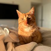 Mi proyecto del curso: Fotografía profesional para Instagram. Een project van  Reclame, Fotografie, Marketing, Social media, Mobiele fotografie, Productfotografie, Mobiele marketing, Instagram, Fotografie voor Instagram y Lifestyle fotografie van Florencia Farengo - 15.09.2023