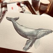 Mój projekt z kursu: Naturalistyczne techniki ilustracji: wieloryby w akwareli . Seni Rupa, Lukisan, Lukisan Cat Air & Ilustrasi Naturalistik proyek oleh Anna Lisniak - 09.16.2023