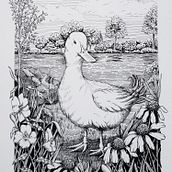 My project for course: Dip Pen and Ink Illustration: Capturing The Natural World. Sketching, Drawing, Artistic Drawing, Sketchbook, Ink Illustration, and Naturalistic Illustration project by Stacy Burch - 09.17.2023