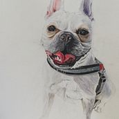 Mi proyecto del curso: Retratos de Mascotas en Lápices de Colores. Un proyecto de Ilustración tradicional e Ilustración naturalista				 de familiavillanuevabarrera - 17.09.2023