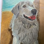 My dog . % Susan tarafından hazırlanan Geleneksel illüstras, on, Gerçekçi Çizim, Tablo, Sanatsal Çizim, Yağlıbo, a Resim, Ve Güzel sanatlar projesi - 09.17.2023