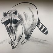 Mon projet du cours : Illustration d'animaux au fusain et à l'encre. Fine Arts, Drawing, Ink Illustration, and Naturalistic Illustration project by Ambre Martel - 09.17.2023