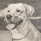 Sketch of my dog Rio. Un proyecto de Artesanía de Ninad Kajale - 17.09.2023