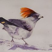Mi proyecto del curso: Acuarela naturalista con expresión y personalidad. Traditional illustration, Watercolor Painting, and Naturalistic Illustration project by Daniela Torres - 09.17.2023