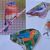 My project for course: Artistic Watercolor Techniques for Illustrating Birds. Un progetto di Pittura ad acquerello, Illustrazione tradizionale, Disegno realistico e Illustrazione naturalistica di lamportm284 - 16.09.2023