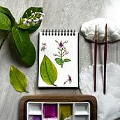 My project for course: Botanical Watercolor: Illustrate the Anatomy of Flowers. Un progetto di Illustrazione tradizionale, Belle arti, Pittura, Disegno, Pittura ad acquerello e Illustrazione botanica di Tanya Meschcerina - 12.09.2023