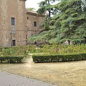 Fotos parque del Prado . % Gilberto Herrera Chavarría tarafından hazırlanan Tasarım, Doğalcı İllüstras, Ve on projesi - 09.20.2023