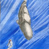 Il mio progetto del corso: Tecniche di illustrazione naturalistica: balene ad acquerello Ein Projekt aus dem Bereich Bildende Künste, Malerei, Aquarellmalerei und Naturalistische Illustration von Isabella Guaitoli - 19.09.2023