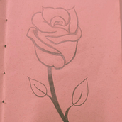 Desenho de flores a lápis. Pencil Drawing, Creativit, Sketching, Artistic Drawing, and Botanical Illustration project by Dany Borges - 09.18.2023