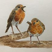 My project for course: Artistic Watercolor Techniques for Illustrating Birds. Watercolor Painting project by Sally Parrott - 09.20.2023