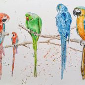 Mi proyecto del curso: Acuarela artística para ilustración de aves. Projekt z dziedziny Trad, c, jna ilustracja, Malowanie akwarelą, R, sunek realist, czn, Ilustracja naturalist i czna użytkownika Jeremy Baty - 21.09.2023