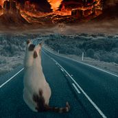 ALPHABET CHALLENGE. Concept Art, Audiovisual Production, Matte Painting, and Design project by Cristina Chacón - 09.21.2023