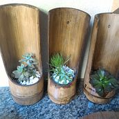 Vasos de Bambu. Arts, and Crafts project by Hugo Botelho de Araujo Garcez - 11.12.2017