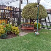 Mi proyecto del curso: Diseño de espacios verdes para tu casa. L, scape Architecture, Floral, Plant Design, Spatial Design, and Photograph project by lachaves - 09.19.2023