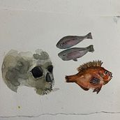 Peixes em aquarela . Traditional illustration project by Cristina Lima - 09.23.2023