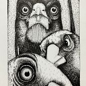 My project for course: Realistic Illustration of Birds with Imaginative Elements. Pencil Drawing, Drawing, Ink Illustration, and Naturalistic Illustration project by Wendy Annal - 09.23.2023