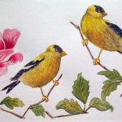 Mi proyecto del curso: Acuarela artística para ilustración de aves. Ilustração tradicional, Pintura em aquarela, Desenho realista e Ilustração naturalista projeto de Dani Gall Zder - 24.09.2023