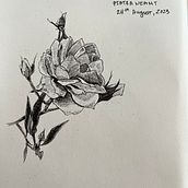 A sketchbook of flowers drawn in pen. Drawing project by inatsetsova - 09.25.2023
