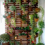 Mi proyecto del curso: Diseño de espacios verdes para tu casa. Paisagismo, Design floral e vegetal, e Design de espaços projeto de Wendy Alcántara Murga - 23.09.2023