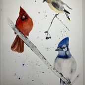 My project for course: Artistic Watercolor Techniques for Illustrating Birds. Traditional illustration, Watercolor Painting, Realistic Drawing, and Naturalistic Illustration project by Dawn Abbott - 09.20.2023