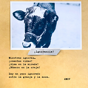 Fotopoemas: Animalidad (Por Angela Ordoñez). Photograph, Photograph, Post-production, Writing, Photo Retouching, Creativit, Portrait Photograph, Communication, Documentar, Photograph, Photographic Composition, and Narrative project by Angela Ordoñez Valencia - 09.24.2023
