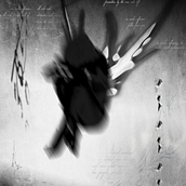 GRAPHIC DESIGN WORK 2023. Graphic Design project by Christopher Koo - 09.26.2023