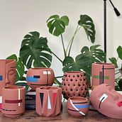 Lenore - Plants & Decor . Advertising, Photograph, Marketing, Social Media, Mobile Photograph, Product Photograph, Mobile Marketing, Instagram, Instagram Photograph, Interior Design, and Decoration project by Fernando Lucatero - 09.26.2023
