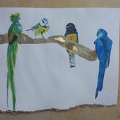 Mi proyecto del curso: Acuarela artística para ilustración de aves. Traditional illustration, Watercolor Painting, Realistic Drawing, and Naturalistic Illustration project by Alejandra Rivera Silva - 08.28.2023