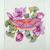 My project for course: Naturalist Illustrations with Watercolors: Drawing and Composition. Un proyecto de Ilustración tradicional, Dibujo, Pintura a la acuarela e Ilustración naturalista				 de Ceylonese Saytan - 28.09.2023