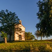 Mi proyecto del curso: Fotografía moderna de naturaleza Ein Projekt aus dem Bereich Fotografie, Bildbearbeitung, Social Media, Digitalfotografie, Außenfotografie und Fotografische Komposition von Miquel Pell - 28.09.2023