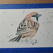 Mi proyecto del curso: Ilustración naturalista de aves con acuarela. Een project van Traditionele illustratie, Aquarelschilderen, Realistische tekening y Naturalistische illustratie van senoritalinda21 - 27.09.2023