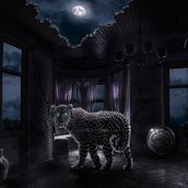 Mi proyecto del curso: Secretos del fotomontaje y el retoque creativo. Photograph, Photograph, Post-production, VFX, Photo Retouching, Fine-Art Photograph, Photographic Composition, and Photomontage project by David Cardenas - 09.28.2023