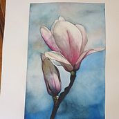 Il mio progetto del corso: Illustrazione scientifica di animali ad acquerello. Un progetto di Illustrazione tradizionale, Pittura ad acquerello, Disegno realistico e Illustrazione naturalistica di giusi.calli - 28.09.2023